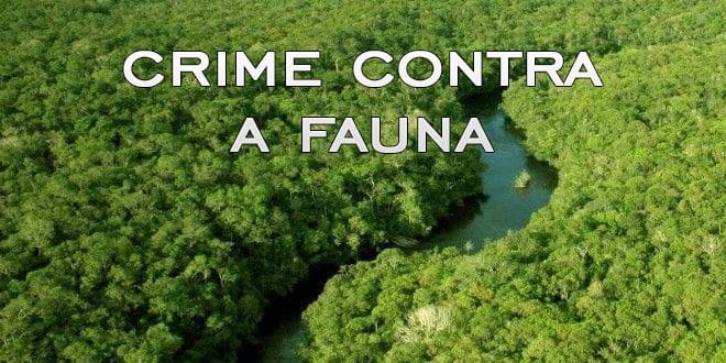 Crime contra a fauna em Santiago