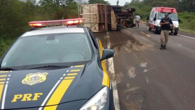 Caminhão tomba e mata cavalos em Alegrete