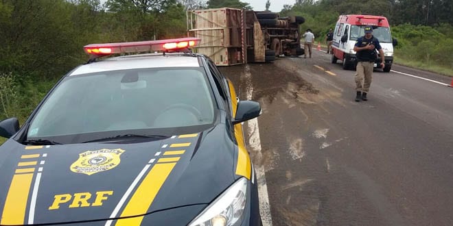 Caminhão tomba e mata cavalos em Alegrete