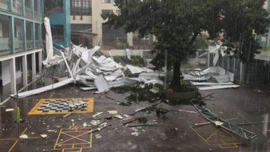 Temporal derruba árvores em Porto Alegre