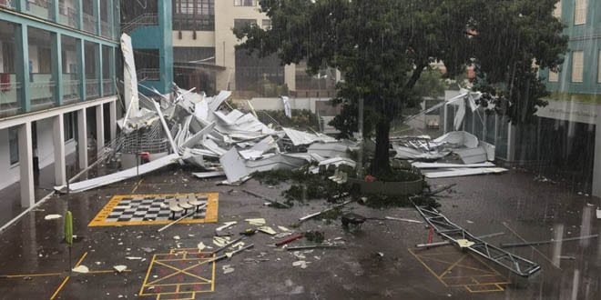 Temporal derruba árvores em Porto Alegre