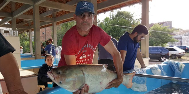 Feira do Peixe de Santiago