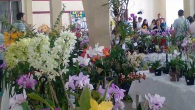 15ª Exposição de Orquídeas, Cactus e Bromélias de Santiago