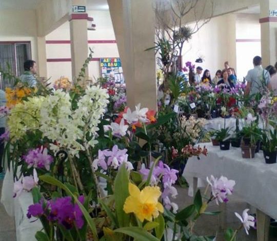 15ª Exposição de Orquídeas, Cactus e Bromélias de Santiago