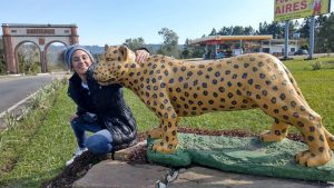 Prefeito Beto Turchiello recebe ilustres visitantes italianos e os declara hóspedes oficiais de Jaguari (RS)